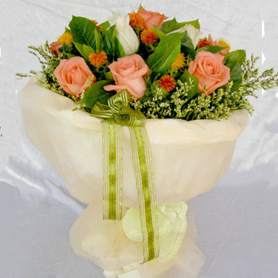 �����(zh��n)-�W(w��ng)�ϻ���