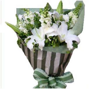 ��ͤ�-�W�ϻ���