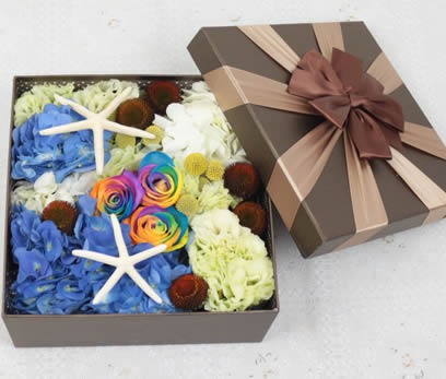 ��Դ���������ʺ�õ�� �����ۑ�