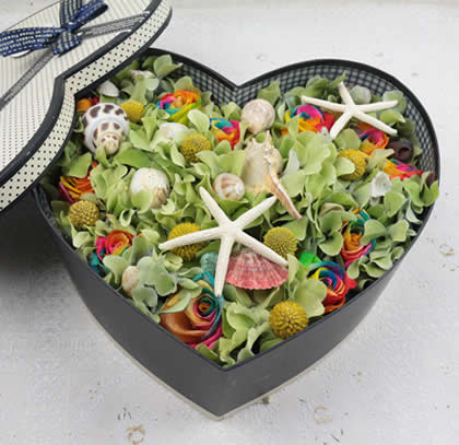 �����^���������ʺ�õ�� ����ȥ��