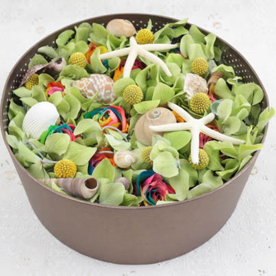 ������������ʺ�õ�� �۵ĺ��o(h��)