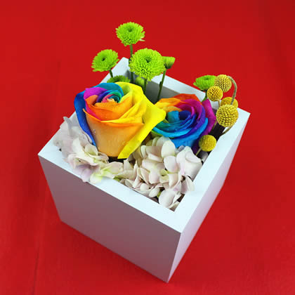 ������������ʺ�õ�� ���һ��