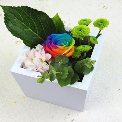 �����S�M�^(q��)���������ʺ�õ�� �۵�����