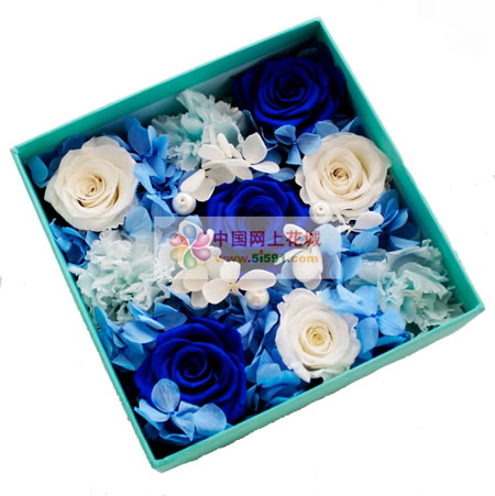 �������r�������r�� ��˶���