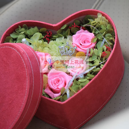 �Ϻ��S�օ^(q��)���r�������r�� ������(y��u)��