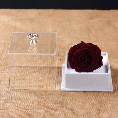 �a�ֺ��ر��r�������r�� �ζ���t