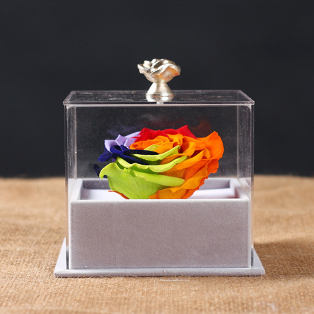 �������r�������r�� �ζ�ʺ�