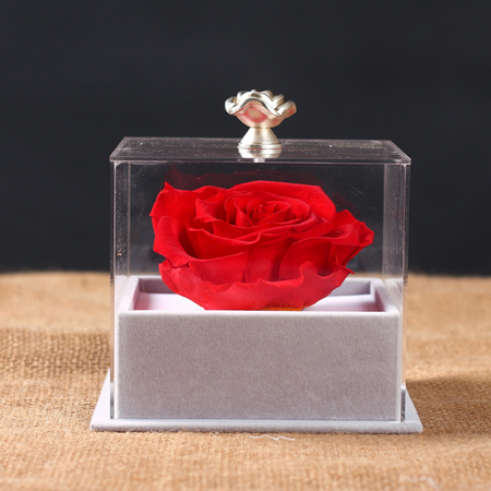 ۱�Ǳ��r�������r�� �ζ�t