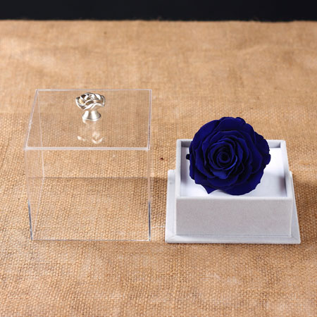 ��Դ���r�������r�� �ζ��{(l��n)