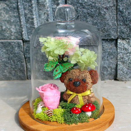 ̫�ͱ��r�������r�� ����Đ�(��i)