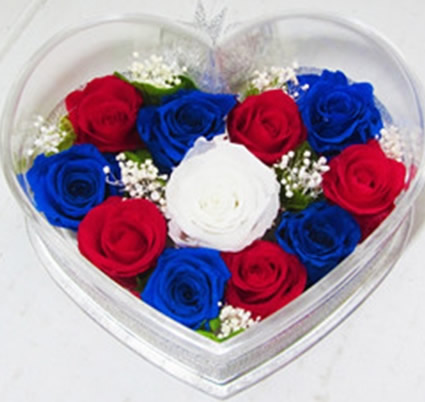 ����ԣ���^���r�������r�� 11���ĺ�