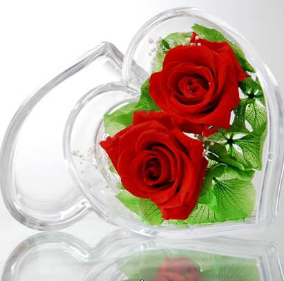 ���ϱ��r�������r�� �ɻ�