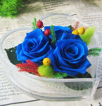 ��ꖱ��r�������r�� �ĺ�����