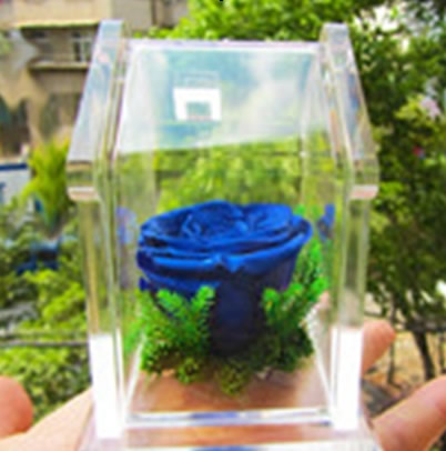 ����ԣ���^���r�������r�� ����С��