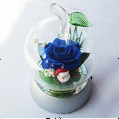 �������r�������r�� ʥ�Q�����O��