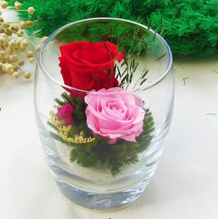 ����ķ�^(q��)���r�������r�� �������