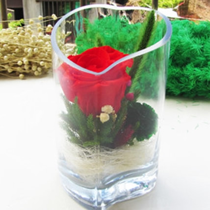 ̫�ͱ��r�������r�� �L(f��ng)���Ļ�