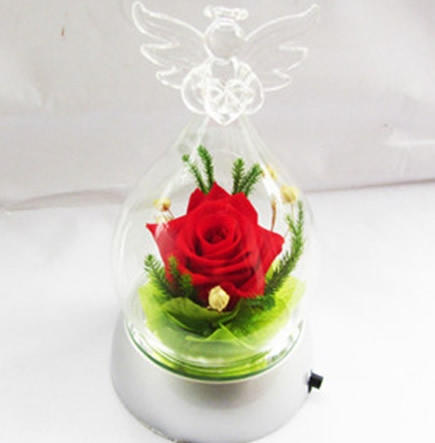 ���ֱ��r�������r�� ��ʹƿ