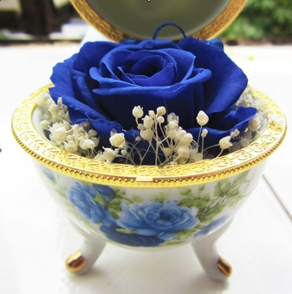 ��ƽ���r�������r�� �໨��