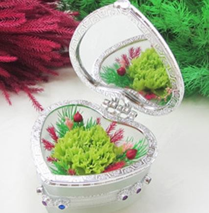 �������r�������r�� ����ܰ���y�R