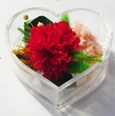 ̫�ͱ��r�������r�� ����ܰ�ɻ�