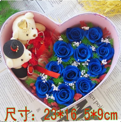 �������r�������r�� ���ĺ�11��