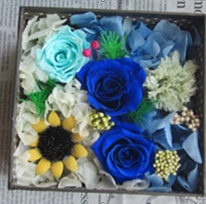 �Q�ڱ��r�������r�� �Y��3��