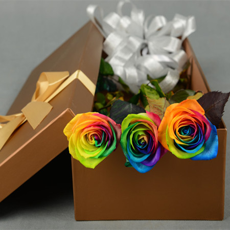 ������������ʺ�õ��-����