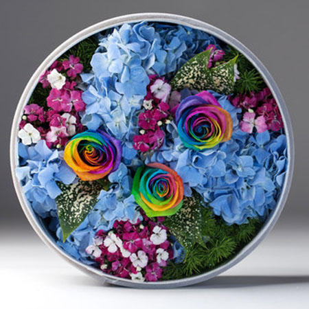 �������������ʺ�õ��-����_��