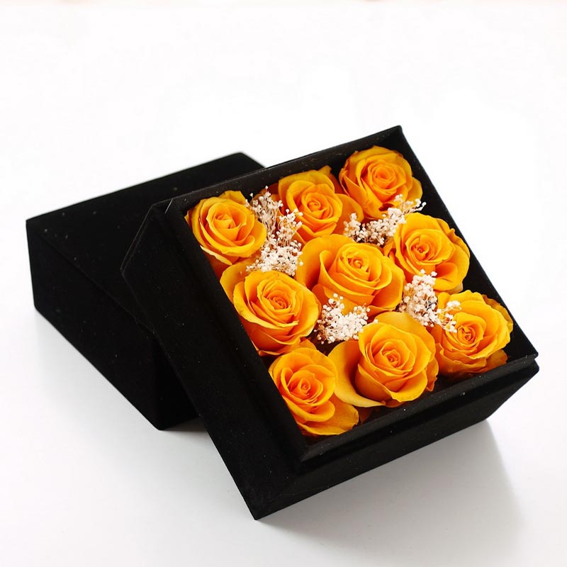 ��ꖱ��r�������r��-�Ŷ��Sõ��