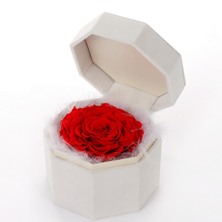 �������r�������r�� �ζ�tõ��