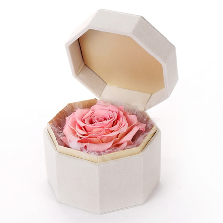 �������r�������r�� �ζ��õ��