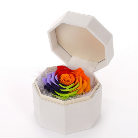 ̫�ͱ��r�������r�� �ζ��߲�