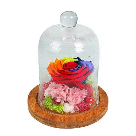 �RȪ�������������� �l�F��