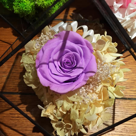 ���ݬ����^���r�������r�� BX112