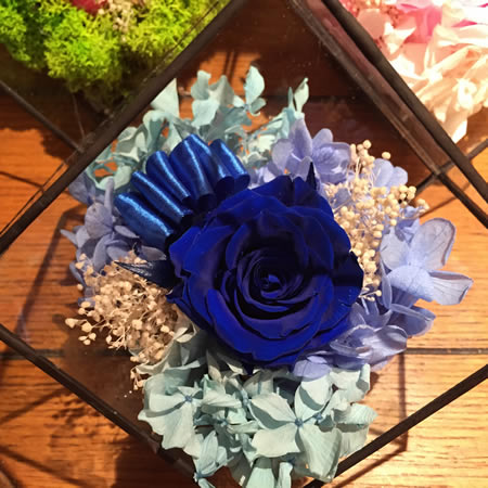 �������r�������r�� BX113