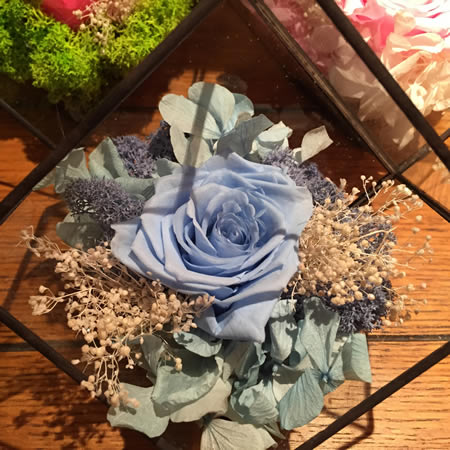 ���ֱ��r�������r�� BX114