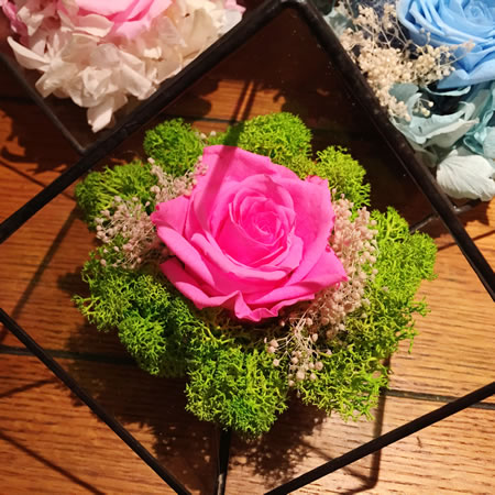 ƽݛ���r�������r�� BX115