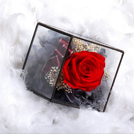 ��Դ���r�������r�� BX116