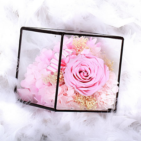 ����ԣ���^���r�������r�� BX111