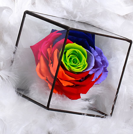 ̫�ͱ��r�������r�� BX121