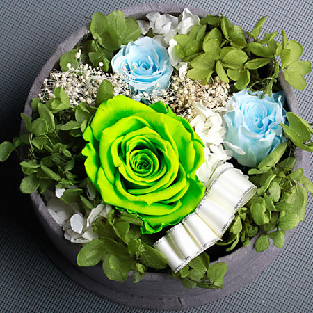 ��ꎱ��r�������r�� BX129