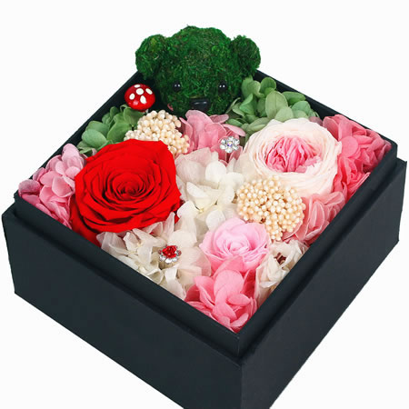 ��ꖱ��r�������r�� ����֮��