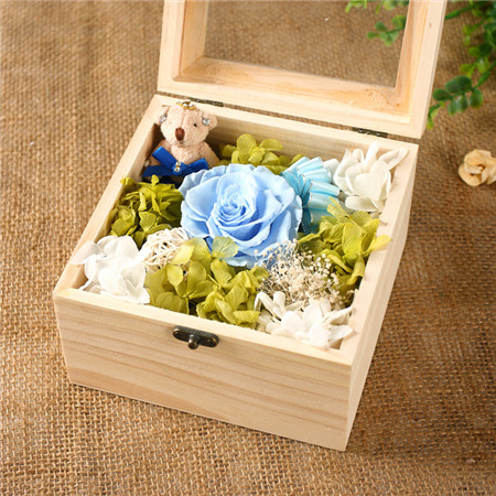 ���ִ��I�^���r�������r�� ���{ 1��+1��