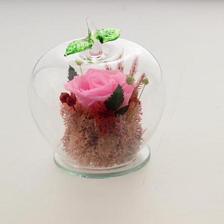 ���D���r�������r�� �O��