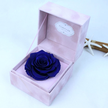 �Q�ڱ��r���������� �ζ��{õ��