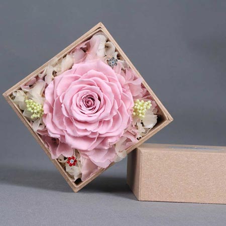 ���혳ǅ^���r���������� �ζ��ɫõ��