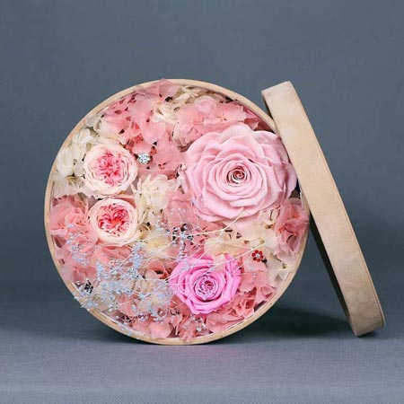 ��ꎱ��r���������� ��������