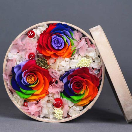 �������r���������� �����龉