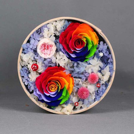 ����ԣ���^���r���������� �c�㠿��